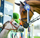Sustainable City Equestrian Club