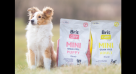Pet World  ​shop