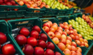 Muhammad Afzal Muhammad Afsar Vegetables & Fruits
