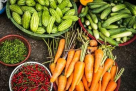 Wadi Al Amardi Farm Dates Trading