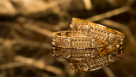 Golden Planet Watches & Jewellery