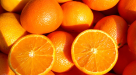 Niketas Gulf Food Trading