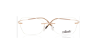 Novax Vision
