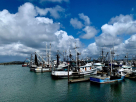Zms For Ship Management & Operation