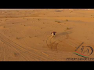 Al Dhabi Horses And Camels Rental