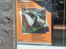 Gerry"s Grill (caviar Restaurants)