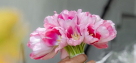 Joie De Vivre Flowers