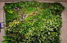Green Road