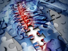 Spine And Joint Chiropractic Rehab Clinic