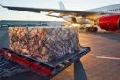 Perfect Choice Shipping & Logistic