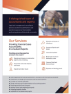 Amna Almeer Auditing