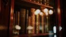 International Counsels Advocates & Legal Consultants