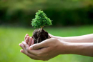 Tottori Resource Middle East For Soil Conditioners