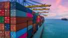 Maryam Zia Freight Forwarding
