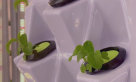The Food Engineer Farm