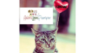 Adore Love Pamper Pets Boarding And Grooming