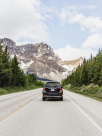 Royal Phoenix Car Rental