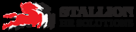 Stallion Electromechanical Services