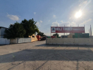 Holz Timber Trading