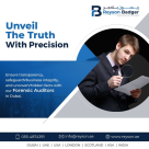 Reyson Badger Auditing Of Accounts