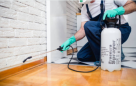 Active Star Cleaning