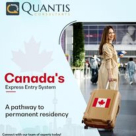 Quantis Consultants Services