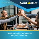 Soul Wallet Portal
