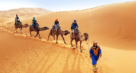 South Travel & Tourism