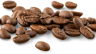 Grandmother Coffee Roastery