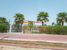 Al Warqa"a Second Park