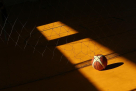 The Universal American School Basketball Court
