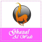 Ghazal Al Wadi Perfumes & Cosmetics Trading
