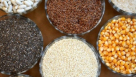 Bloom Rise Foodstuff Trading