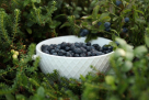 Al Barni Quality Organic & Natural Food