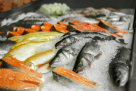 Khalifa Rashid Sultan Fish Stall