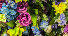 Flora-ritz Flowers & Ornamental Plants Trading