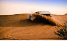 Go Go Desert Safari