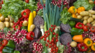 Sharas Foodstuff Trading