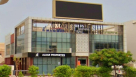 Yango