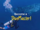 Bermuda Diving Center