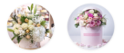 Choco Ward Al Dar Flowers & Chocolates
