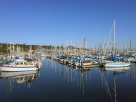 Sea Shark Leisure Yachts & Boats Rental