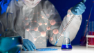 Astragene