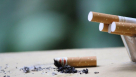 Shandong Tobacco