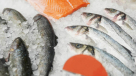 Khalmis Rashid Sultan Al Ajaim Fish Stall