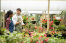 Florenza Plant Nursery
