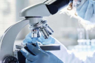 Thyrocare Laboratories