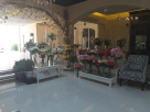 Flowers.ae