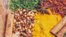 Star Food General Trading