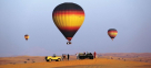 Royal Whale Falconry Tour Services